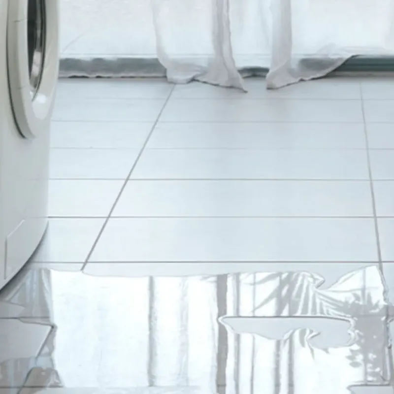 Appliance Leak Cleanup in Concord, MI