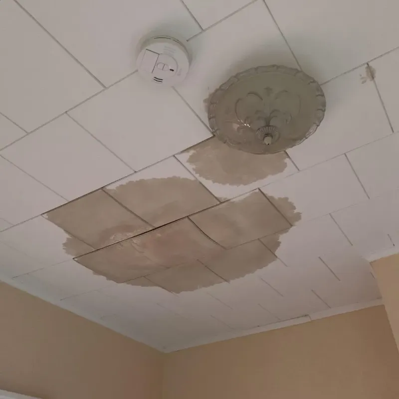 Ceiling Water Damage Repair in Concord, MI