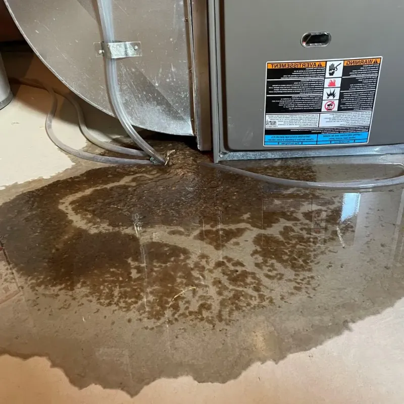 Pipe Burst and Leak Restoration in Concord, MI