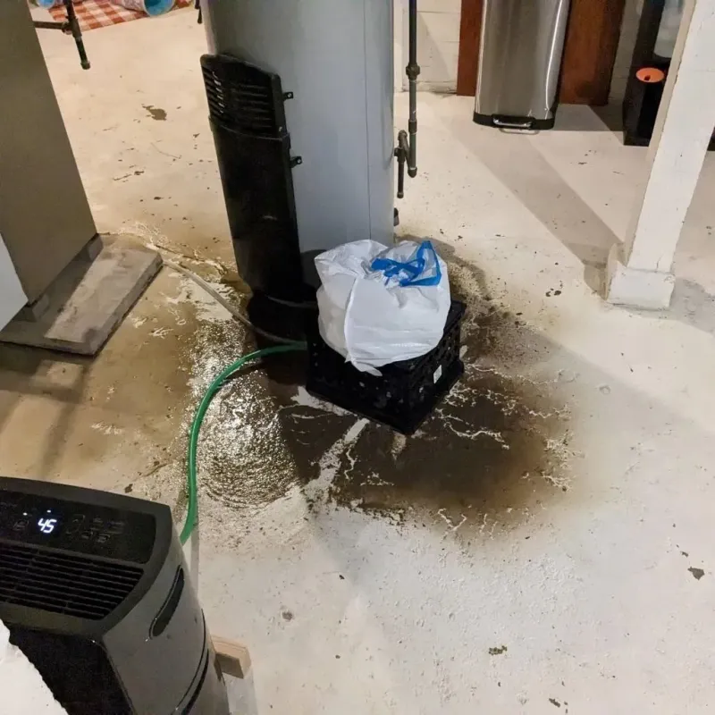 Sewage Backup Cleanup Service in Concord, MI
